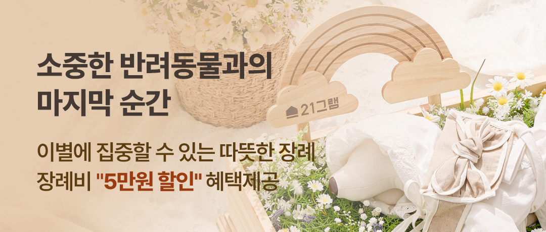 배너286