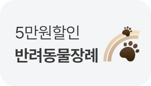 배너289