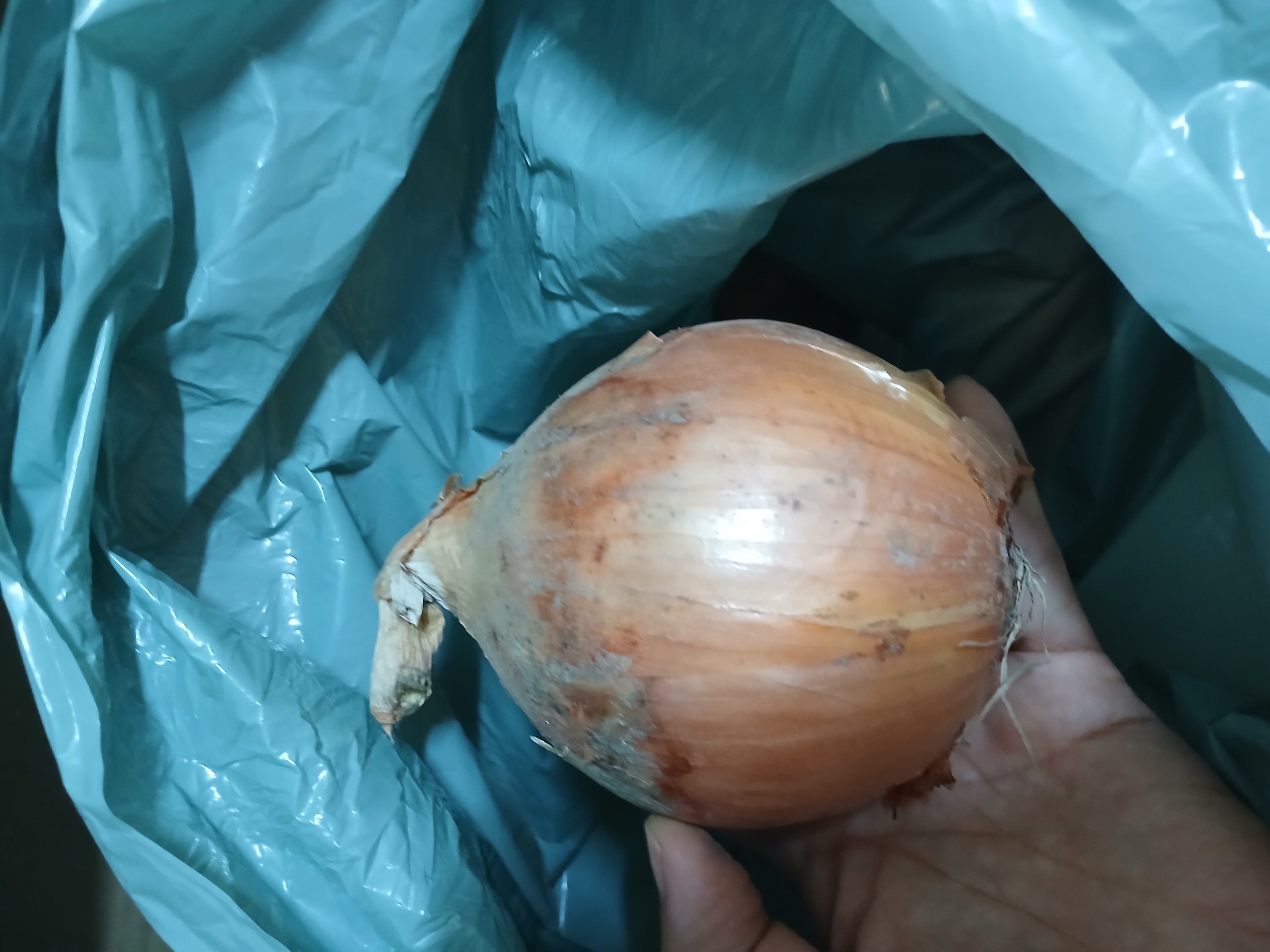 리뷰 사진