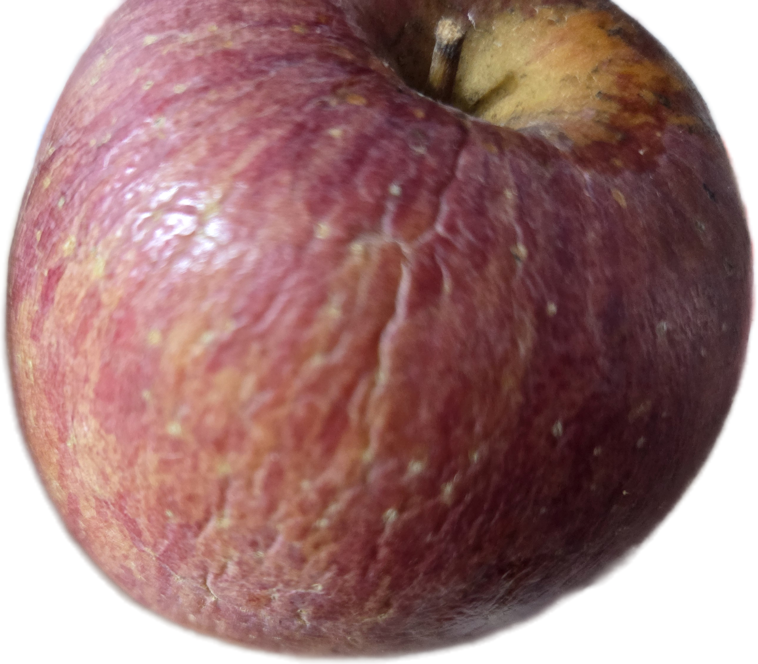 20260708_171356.png