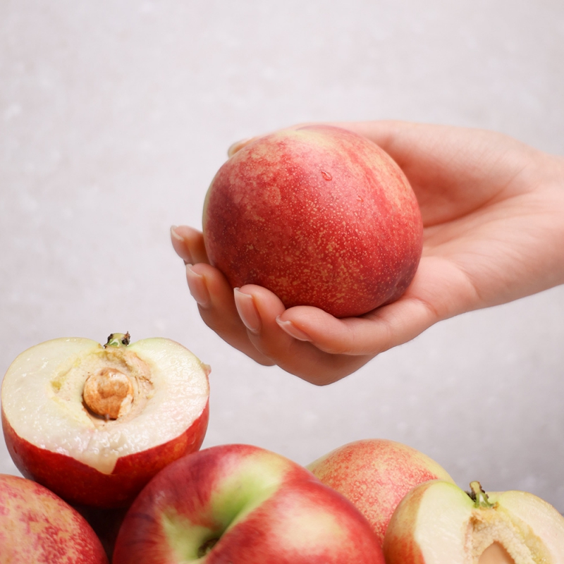 ★6/16순차출고[오늘신선] 경북 영천 산지직송 제철과일 천도복숭아 신선 로얄과 1kg/2kg 상품이미지