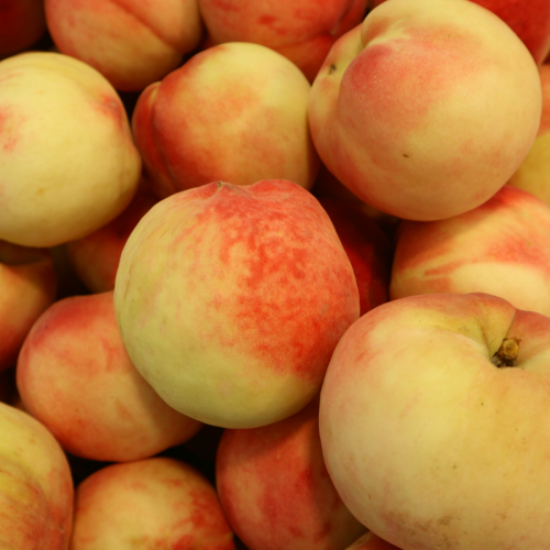 경산/김천 황도 복숭아 소과 1.5KG(10내 이상)