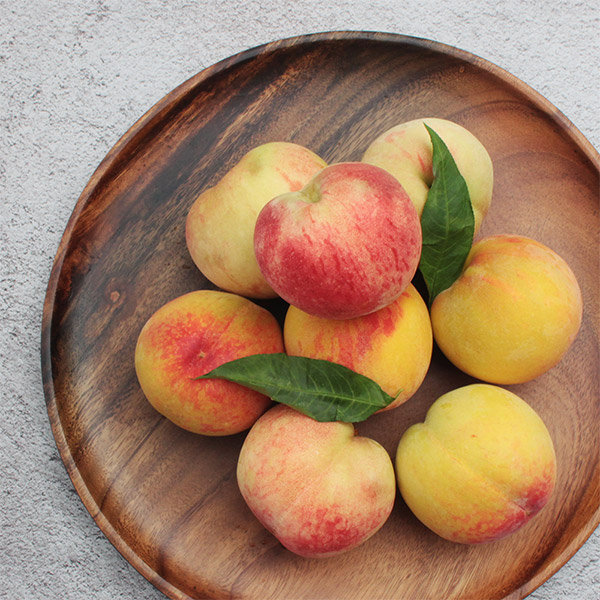 시즌과일! 새콤달콤 복숭아 모음전 (천도/황도/백도/납작복숭아/딱복) 상품이미지