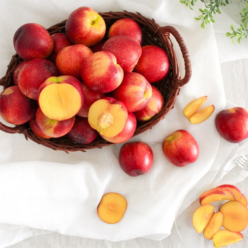 시즌과일! 새콤달콤 복숭아 모음전 (천도/황도/백도/납작복숭아/딱복)