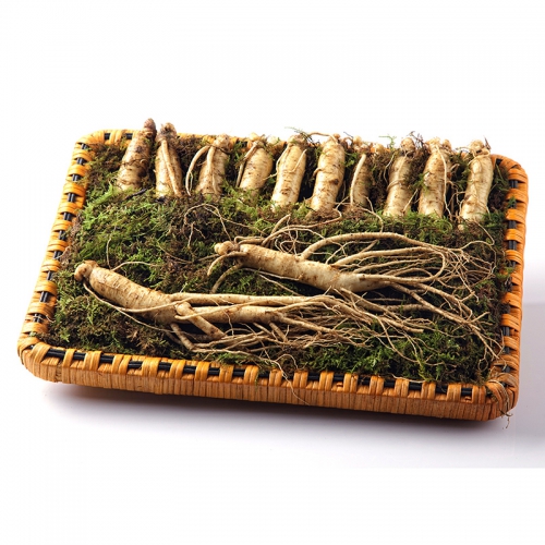 소문난 리얼 맛집 수삼 100년 더 약초 금산 수삼 / 더덕 VVIP 선물세트