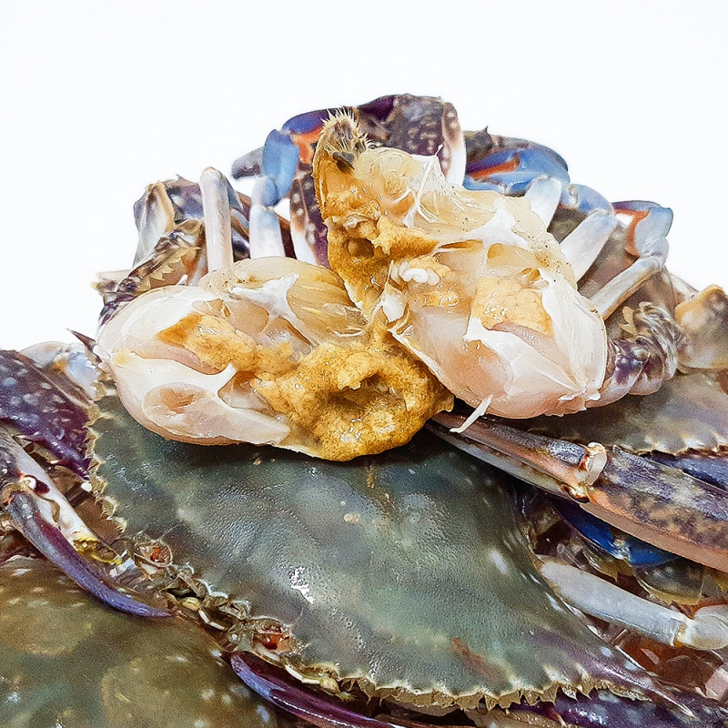 [오늘신선] 태안 신진도 꽃게 산지직송 수꽃게 서해안 숫꽃게 1kg 상품이미지