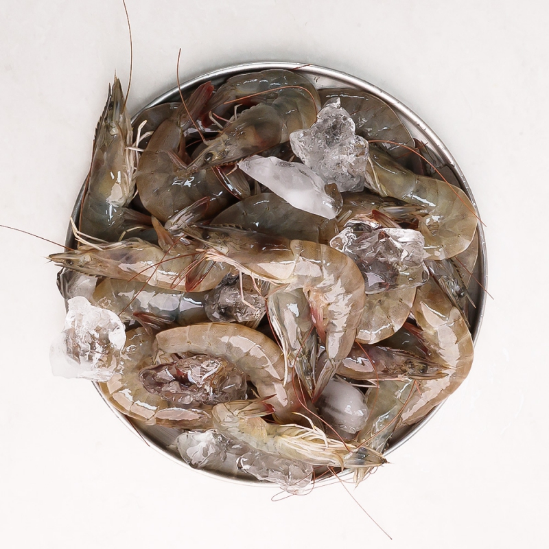 [오늘신선] 국산 신안 생물 흰다리새우 왕새우 500g/1kg 대사이즈 상품이미지