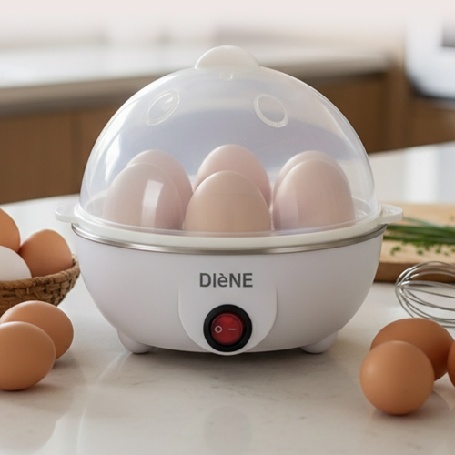 [디엔] 아우라 에그 스티머 DN-999EG