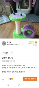 고양이 장난감 나눔