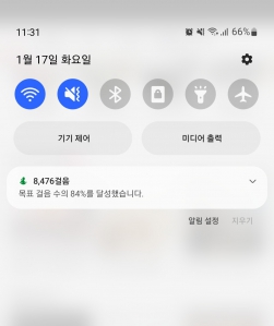 걷기 챌린지 인증 ^^