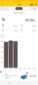 3일째 10,000보 인증