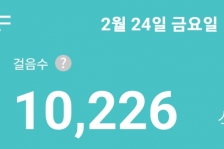 2월24일걷기