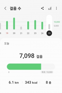 만보는 못 채웠지만 7천보는 걸었어요