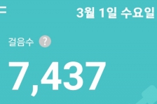 3월 1일 걷기