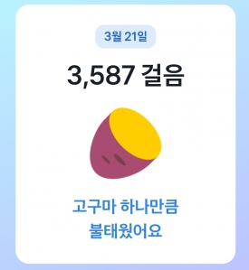 커뮤니티 게시글 썸네일