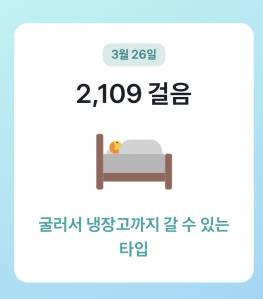 2023보 걷기