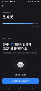 오늘의 걷기 