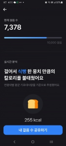 오늘의 걷기 