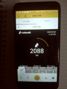 2023보 이상걷기