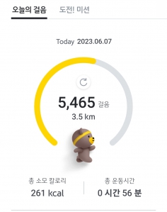 매일 걷기(2023 챌린지)