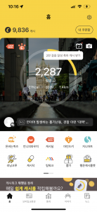 2023보인증:)*