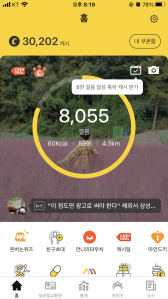 8000보