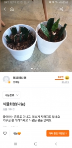 커뮤니티 게시글 썸네일