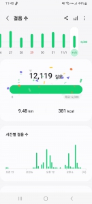 11월 2일 걷기인증