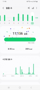 11월 9일 걷기인증