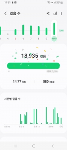 11월 10일 걷기 인증