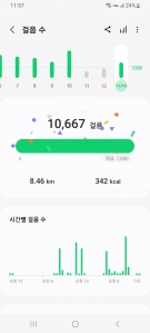 11월 13일 걷기인증