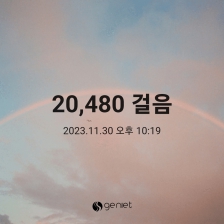 2023보 걷기인증