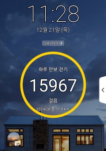 오늘도 만보걷기 성공했어요