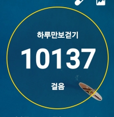 2024보