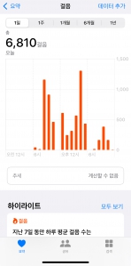 6000보 걷기