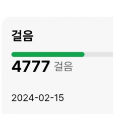 2023보 걷기