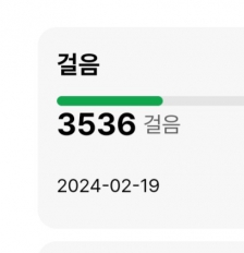 2023보 걷기