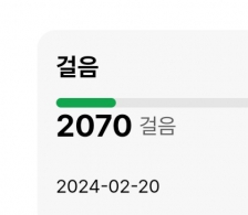 2023보 걷기