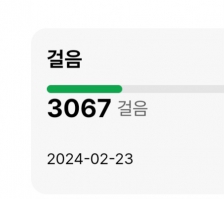 2023보 걷기