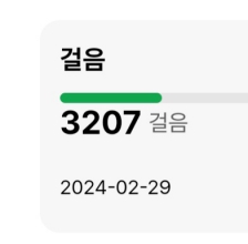 2023보 걷기 