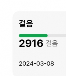 2023보 걷기