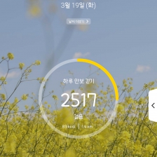 2517 걸음