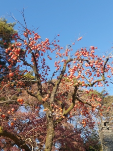 하늘바라보기