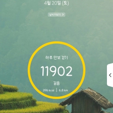 11902 걸음