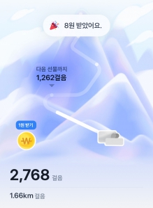 2023보이상 걷기