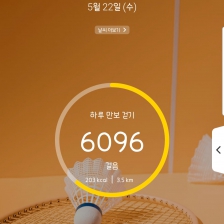 6096 걸음