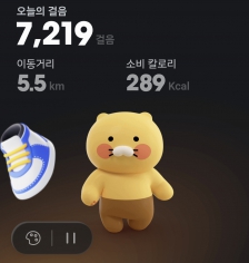 5000보 걷기