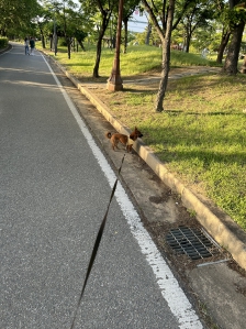 커뮤니티 게시글 썸네일