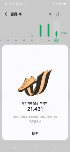 걷기인증