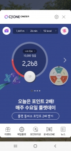 2023보 이상 걷기